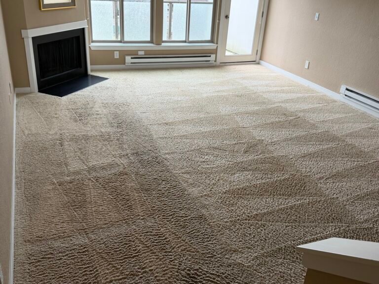 Cleaned living room carpet with even grooming lines in front of a fireplace