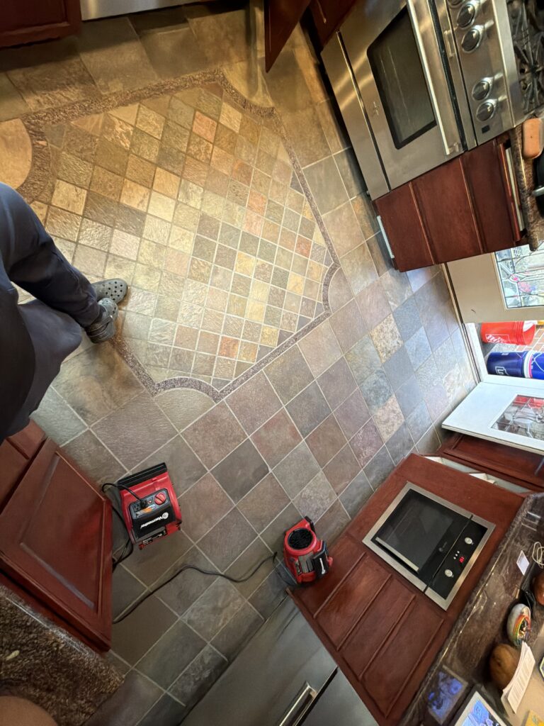 Best Carpet Cleaning in Bothell, WA