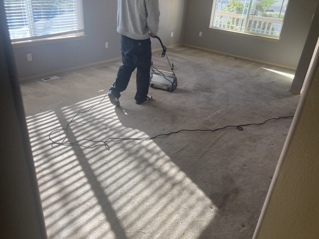 Professional residential carpet cleaning