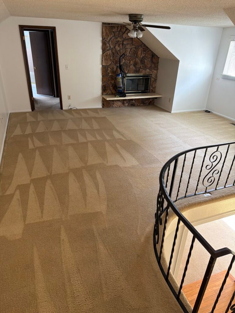 Freshly cleaned beige carpet with grooming lines in a living room with a stone fireplace