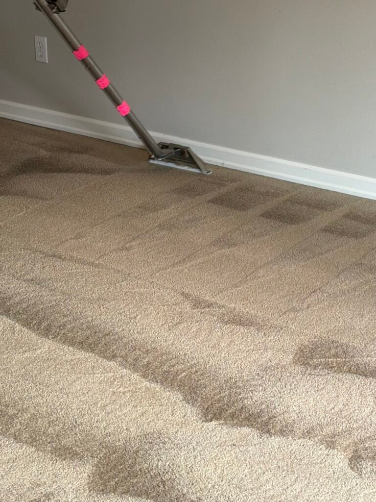 Carpet cleaning wand mid-pass showing cleaned lanes next to carpet not yet cleaned