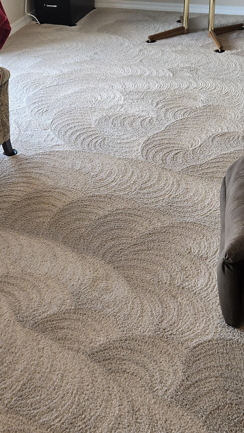 Light residential carpet with visible grooming lines after Olsen Restoration cleaning