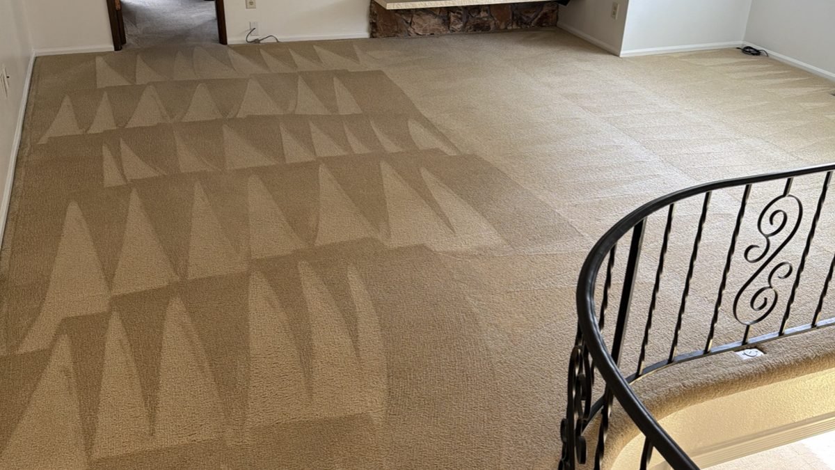 Living room carpet freshly deep cleaned by Olsen Restoration Carpet Cleaning