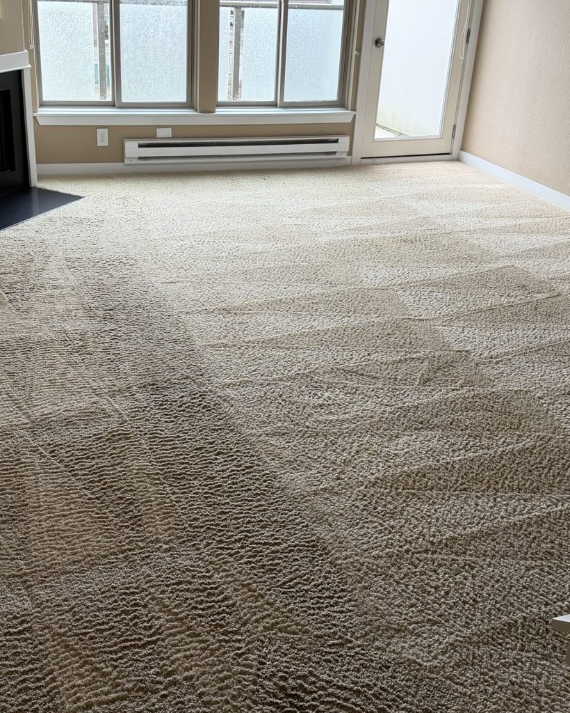 Professional carpet cleaning results showing clean